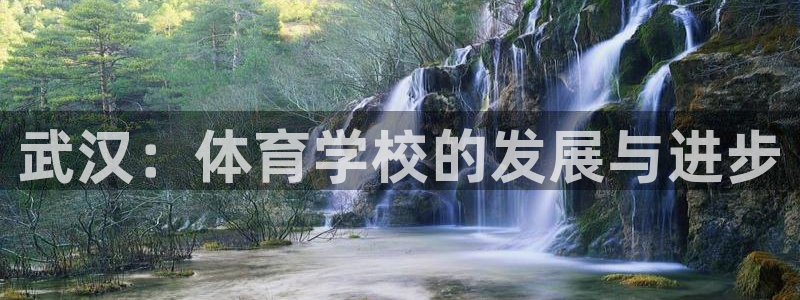 vsport体育官网下载招商电话号码:武汉:体育学校的发展与